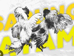 Perjudian Sabung Ayam di Gunung Guntur Dampit Sangat Meresahkan Warga Setempat