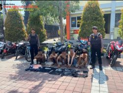Diduga Hendak Tawuran, Polres Gresik Amankan Gerombolan Pemuda Bawa Sajam