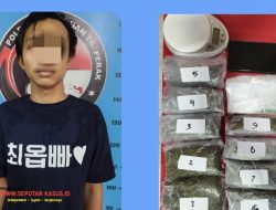 Grebek Kamar Kost, Polres Tanjung Perak Ringkus Pengedar Ganja Kering