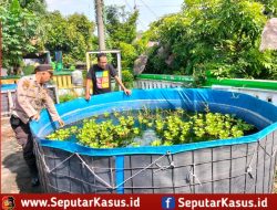 Polsek Sedati Dukung Ketahanan Pangan Nasional dengan Pengecekan Rutin Budidaya Ikan Lele