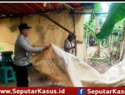 Polisi Bongkar Arena Perjudian Sabung Ayam di Ngronggot Nganjuk