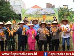 Polres Pelabuhan Tanjung Perak Panen Raya Jagung Tahap 7, Perkuat Ketahanan Pangan Menuju Indonesia Emas