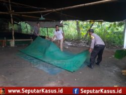 Berantas Perjudian Polisi Bongkar Arena Sabung Ayam di Nganjuk