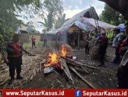 Tindak Tegas Perjudian Polres Mojokerto Bongkar Arena Sabung Ayam