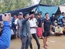 Hukum di Sampang Seolah Tak Bertaji, Clurit dan Sorakan Hebohkan Arena Judi Sabung Ayam Batuporo