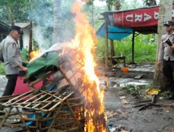Atas Laporan Masyarakat Polsek Bakar Sabung Ayam di Wates Ranuyoso Lumajang