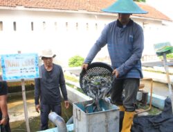 Lapas I Madiun Sukses Budidayakan Ribuan Lele