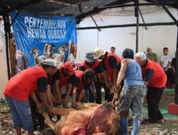 Lapas Kelas I Madiun Laksanakan, Prosesi Penyembelihan Hewan Kurban di Hari Raya Idul Adha 1447 H dengan Tertib dan Khidmat