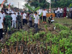 Aksi Nyata TNI dan Pemkab Jembrana, Tanam 500 Mangrove Cegah Abrasi di Pesisir Melaya