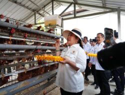 Apresiasi Titiek Soeharto Nusakambangan sebagai Kawasan Pembinaan Produktif dan Pendukung Ketahanan Pangan