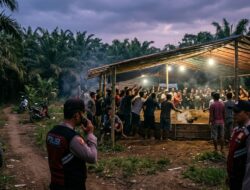 Muncul Dugaan Backing Oknum, Aktivitas Sabung Ayam di Bedengan Ambulu Perlu Diusut Tuntas