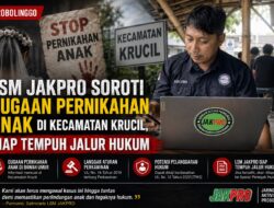 Soroti Dugaan Pernikahan Anak di Kecamatan Krucil, LSM JAKPRO Siap Tempuh Jalur Hukum