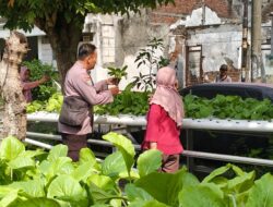 Dukung Program Ketahanan Pangan, Bhabinkamtibmas Polsek Pakal Sambangi Poktan Barokah