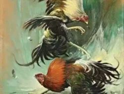 Woro-woro!!! Kembali Beroperasi, Kalangan Sabung Ayam dan Dadu di Andongsari Kembali Jadi Sorotan Warga