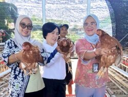 Lapas I Madiun Dorong Budidaya Ayam Petelur Warga Binaan, Dukung Kemandirian Melalui Ketahanan Pangan 
