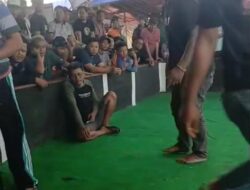 Warga Blitar Desak Polisi Tertibkan Dugaan Praktik Judi Sabung Ayam di Sejumlah Kecamatan