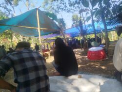 Woro woro: Dugaan Aktivitas Sabung Ayam di Dusun Gujuran, Desa Sucopangepok, Jember Jadi Sorotan