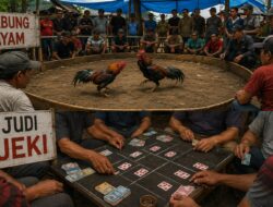 Angel wes: Diduga Ada Sabung Ayam dan Cap Jeki di Desa Srigading, Warga Desak Polsek Tajinan dan Polres Malang Bertindak Tegas