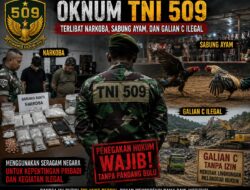 Bukan Sekadar Sabung Ayam, Oknum J Yonif 509 Kostrad Diduga Bekingi Galian C dan Peredaran Obat Terlarang di Jember