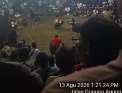 Tajen Diduga Marak di Gianyar, Hanya 1,2 Km dari Polsek dan 1,5 Km dari Polres, Polda Bali Didesak Turun Tangan