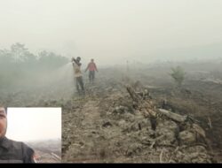 Dugaan Karhutla Merambat ke Lahan Baru PT Jalin Vaneo di Kayong Utara, Pemadaman Masih Berlangsung