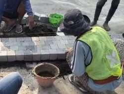 Jalan Masih Bagus Dibongkar, AMI Pertanyakan Urgensi dan Anggaran Proyek Batu Alam Siola