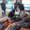Polres Jembrana Amankan 11 Ekor Pari Mobula, Dugaan Perdagangan Satwa Dilindungi Diusut 